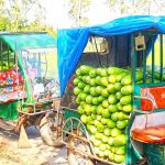 ৪টি লাউ বিক্রি ১ টাকায়!